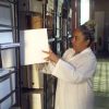 Sección: Mi Archivo Por Dentro